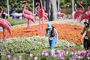 BIB: 
                            <button type="button" onclick="openModal(27793280)" class="btn btn-primary btn-sm float-right btn-popup" data-toggle="modal" data-target=".modal-high-quality">
                        <i class="fas fa-shopping-cart"></i> Add to Cart
                    </button>
                                            <button type="button" onclick="isThisMe(27793280, true)" class="btn btn-success btn-sm float-right btn-popup btn-isme hidden" data-toggle="tooltip" data-placement="bottom" title="นี่คือรูปของคุณใช่ไหม คลิกที่นี่เพื่อเอาเข้าอัลบั้ม">
                        <i class="fas fa-plus"></i> Add to album
                    </button>
                    <button type="button" onclick="isThisMe(27793280, false)" class="btn btn-warning btn-sm float-right btn-popup btn-isnotme hidden">
                        <i class="fas fa-ban"></i> Remove from album
                    </button>